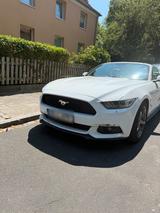 Ford Mustang Cabrio 2,3 Ecoboost - Ford Mustang Gebrauchtwagen in Dresden