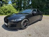 Jaguar XE 2.0 Diesel R-Sport 5-Türer AHK Navi App Conne - Jaguar XE