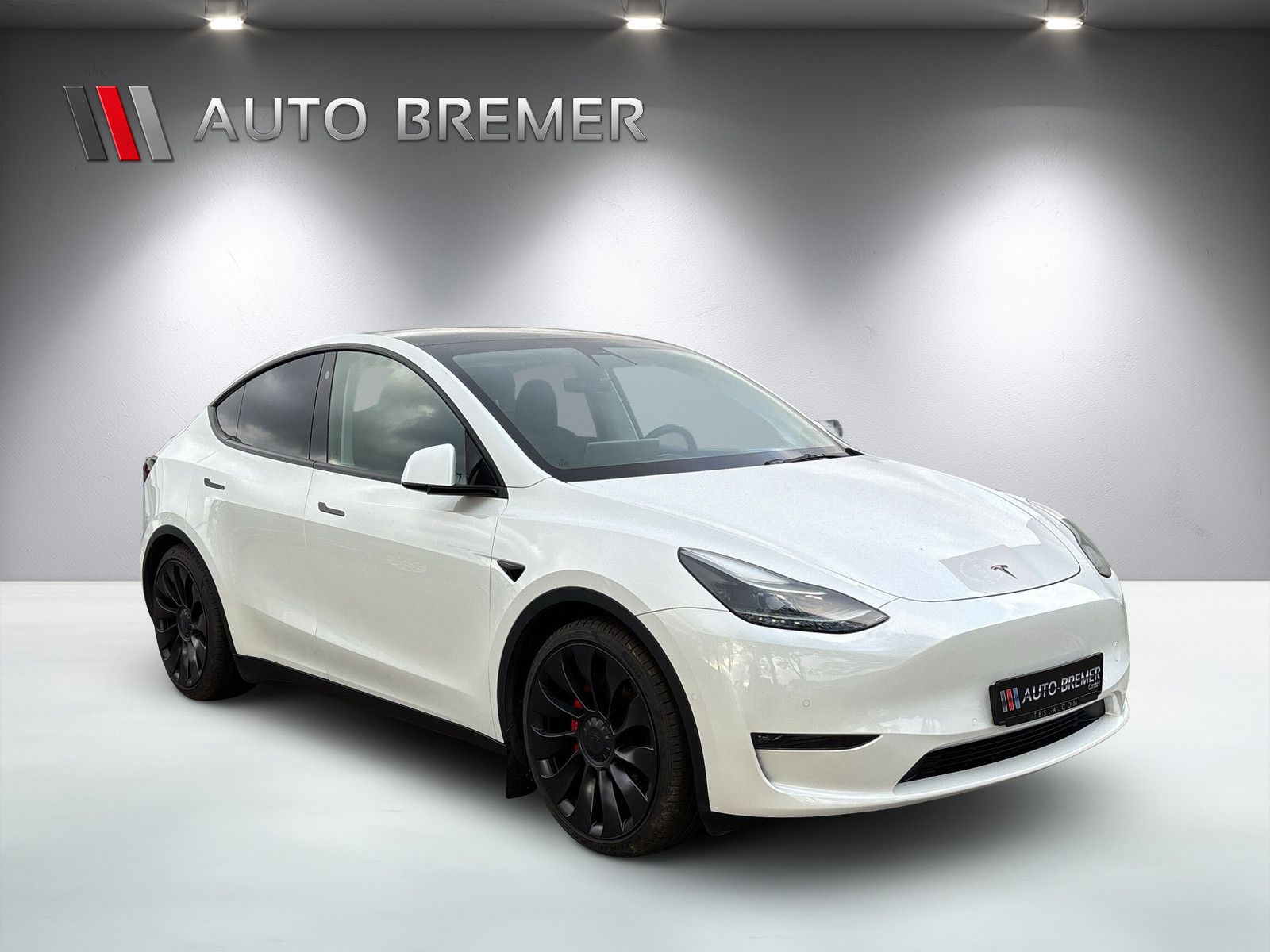 Fahrzeugabbildung Tesla Model Y Performance Dual AWD