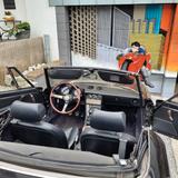 Alfa Romeo Spider - Alfa Romeo Gebrauchtwagen von 1985