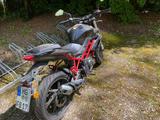 Beeline Bn125 - BEELINE MOTORRAD