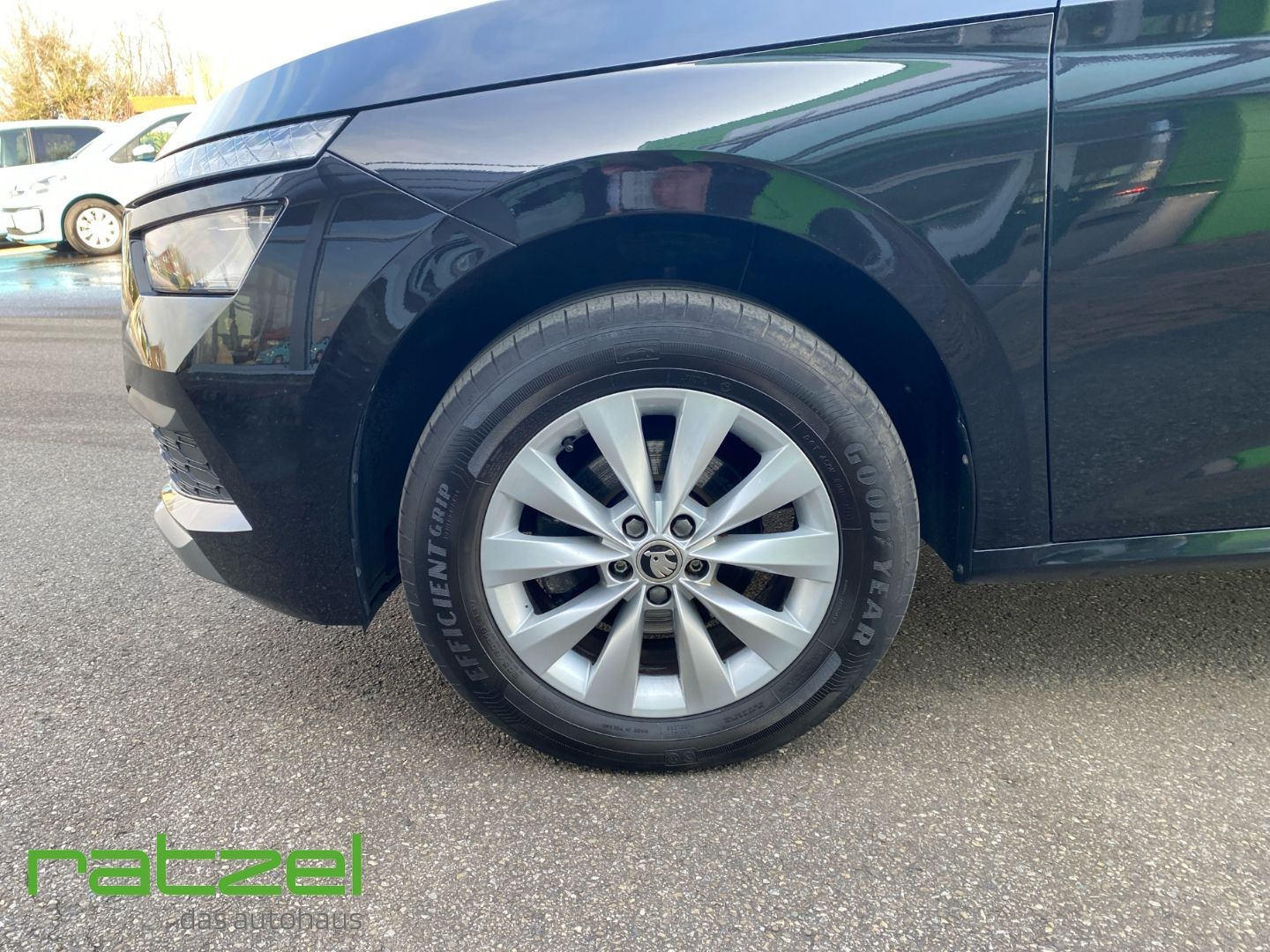 Fahrzeugabbildung SKODA Kamiq Ambition 1.0 TSI DSG RFK LED ACC Apple Car