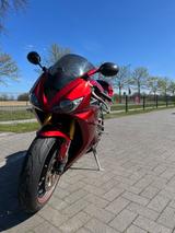 Triumph Daytona 675 - TRIUMPH DAYTONA 675