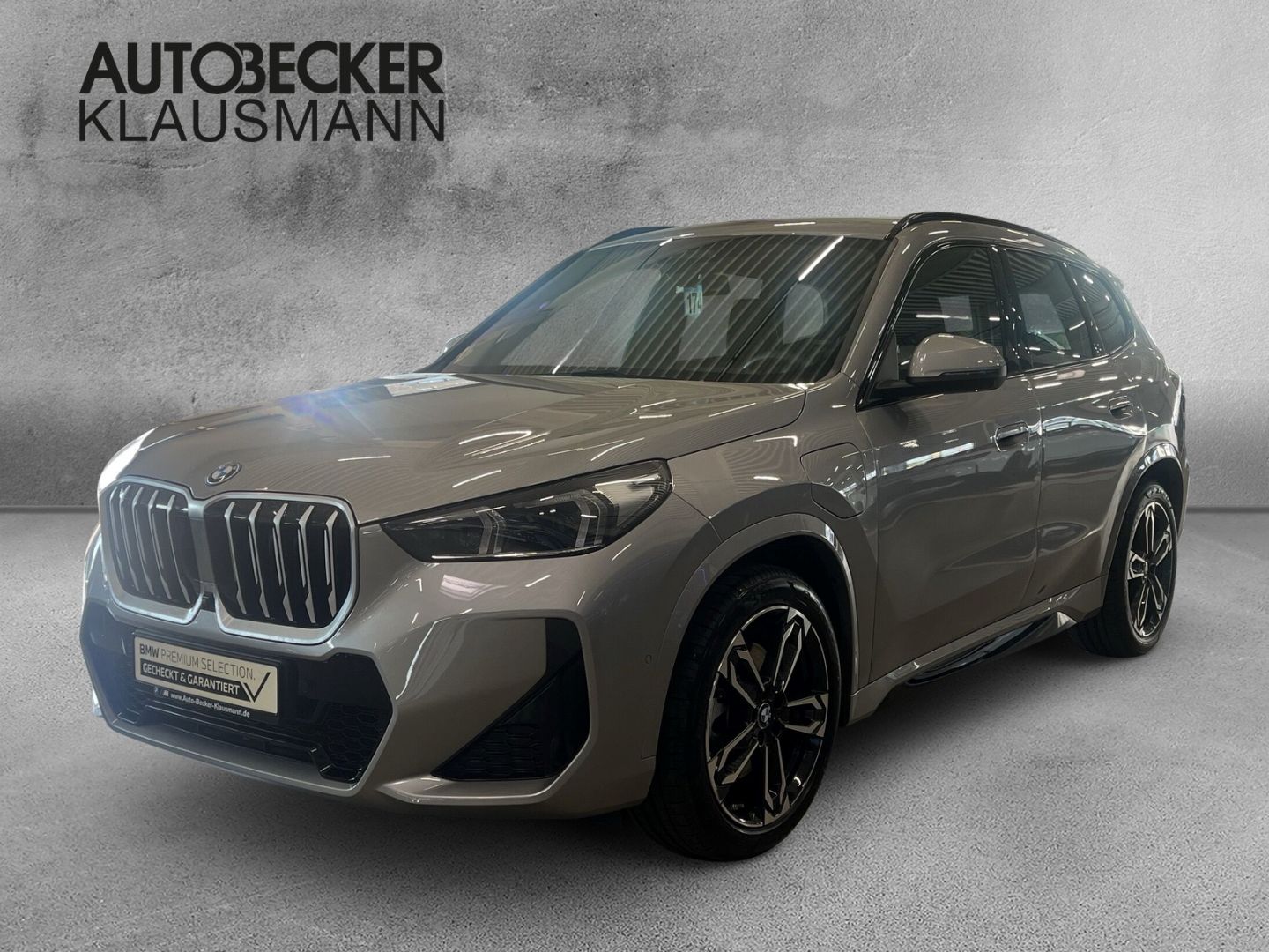 BMW X1 xDrive 30e M SPORT 19''LC PROF HuD ACC 360°PA foto 1