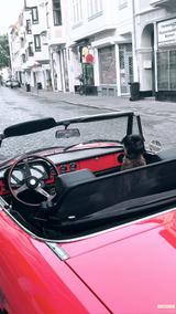 Alfa Romeo Spider - Alfa Romeo Spider von privat