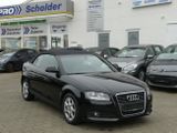 Audi A3 Attraction | EL.VERDECK | LEDER | SHZ | PDC  - Audi: Cabrio, Verdeck