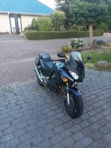 Honda CBF600 - HONDA 2005 CBF 600