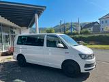 Volkswagen T6 Transporter Kasten-Kombi Kombi 9 Sitzer / AHK - Volkswagen: 9 Sitzer, Transporter