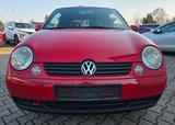 Volkswagen Lupo 1.0 COMFORTLINE, Klima,TÜV bis 03.2028 !!!! - scheckheftgepflegte VW Lupo