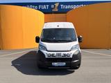 Fiat DUCATO KASTEN MAXI35 L4H2 180D MJ26 - Fiat Fahrgestell Ducato