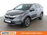 Honda CR-V 1.5 Turbo Executive 4WD Aut.*NAVI*HEAD-UP* - Honda CR-V: Leder