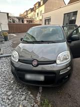 Fiat New Panda 1.2 8V Easy - Fiat New Panda in Essen