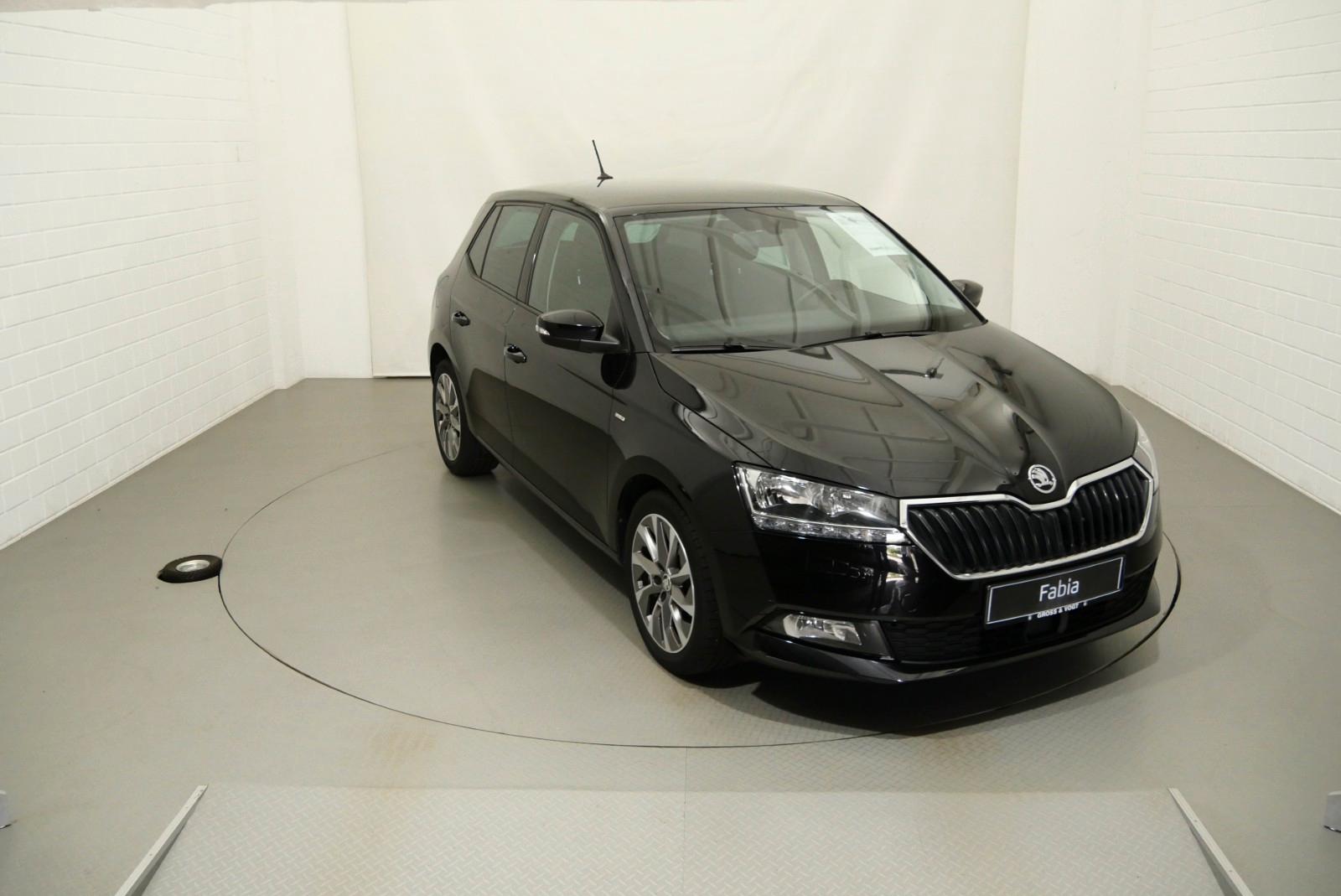 Skoda Fabia Clever 1.0 TSI PDC SHZ
