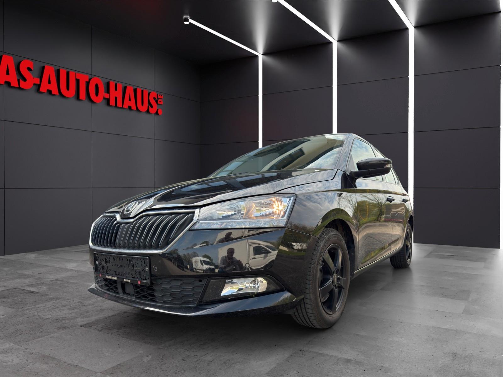 Skoda Fabia Ambition Comfort-Paket PDC DAB