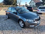Skoda Octavia Lim. Ambition, AHK, Tüv Neu !!! - gebrauchte Skoda Octavia aus dem Jahr 2014