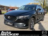 Mazda CX-5 | Sports-line | elektr. Heckklappe | BOSE - Mazda: Sport