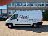 Opel Movano - Opel: Firmenfahrzeug