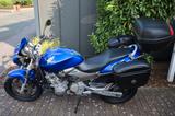 Honda CB 600 F Hornet, Tüv neu,Topcase, Seitenkoffer - HONDA CB 600 F HORNET
