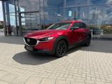 Mazda CX-30 2.0 (186PS) FWD Autom. Homura Sitzheizung  - Mazda CX-30: Automatik