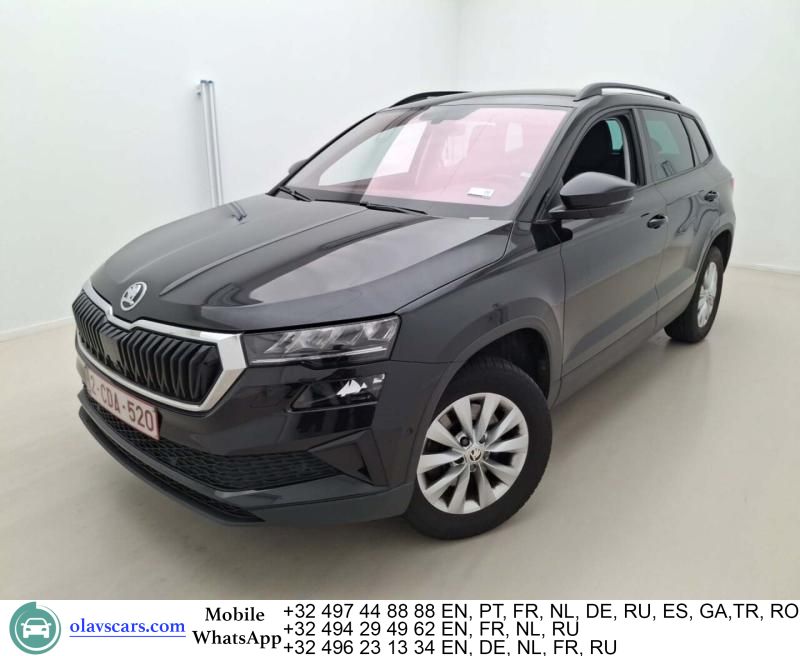 Skoda Karoq - 1