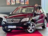 Mercedes-Benz ML 350 Sportpaket Standheizung Kamera Glasdach - gebrauchte Mercedes-Benz ML-Klasse aus dem Jahr 2008