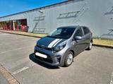 Kia Picanto 1.2 Dream Team Edition 2022 - Kia Picanto in Bielefeld
