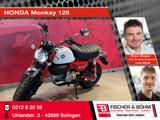 Honda Monkey 125 - HONDA MONKEY