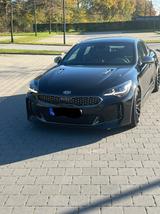 Kia Stinger 3.3 T-GDI AWD GT GT - Kia Stinger Gebrauchtwagen in Hamburg