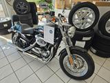 Harley-Davidson Sportster 1200 Custom (XL1200C) ABS - HARLEY-DAVIDSON SPORTSTER 1200 C