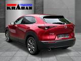 Mazda CX-30 150PS Exclusive 6AT Bose, 360°, Matrix LED - gebrauchte Mazda CX-30 aus dem Jahr 2024