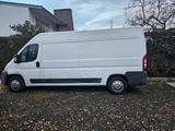 Fiat Ducato Lang Hoch L3H2 TÜV 12/ 26 Reif... - Fiat Ducato: Lang