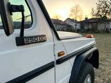 Mercedes-Benz 250 GD W460  - Mercedes-Benz G 250: Gd