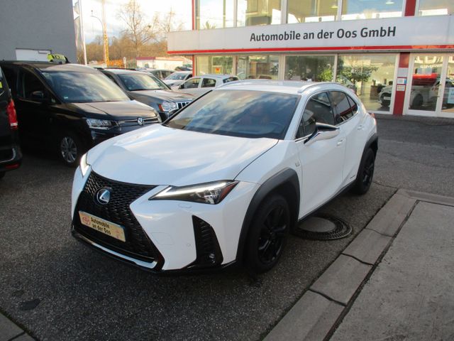 Lexus UX250h E-Four F-SPORT, Navi, 360°, HUD, TWW