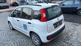 Fiat Panda My Panda - Fiat Panda: My