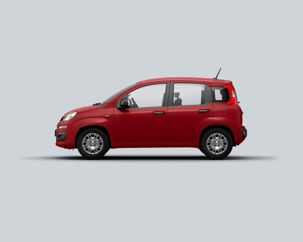 Fiat Panda - Bild 3