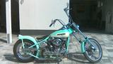 Harley-Davidson FLH