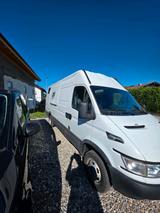 Andere Iveco Daily Womo Renntransporter - Andere: Renn