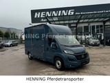 Fiat Ducato *AUTOMATIK* 3 - Sitzer PFERDETRANSPORTER - Tier-/Pferdetransport 3 pferde