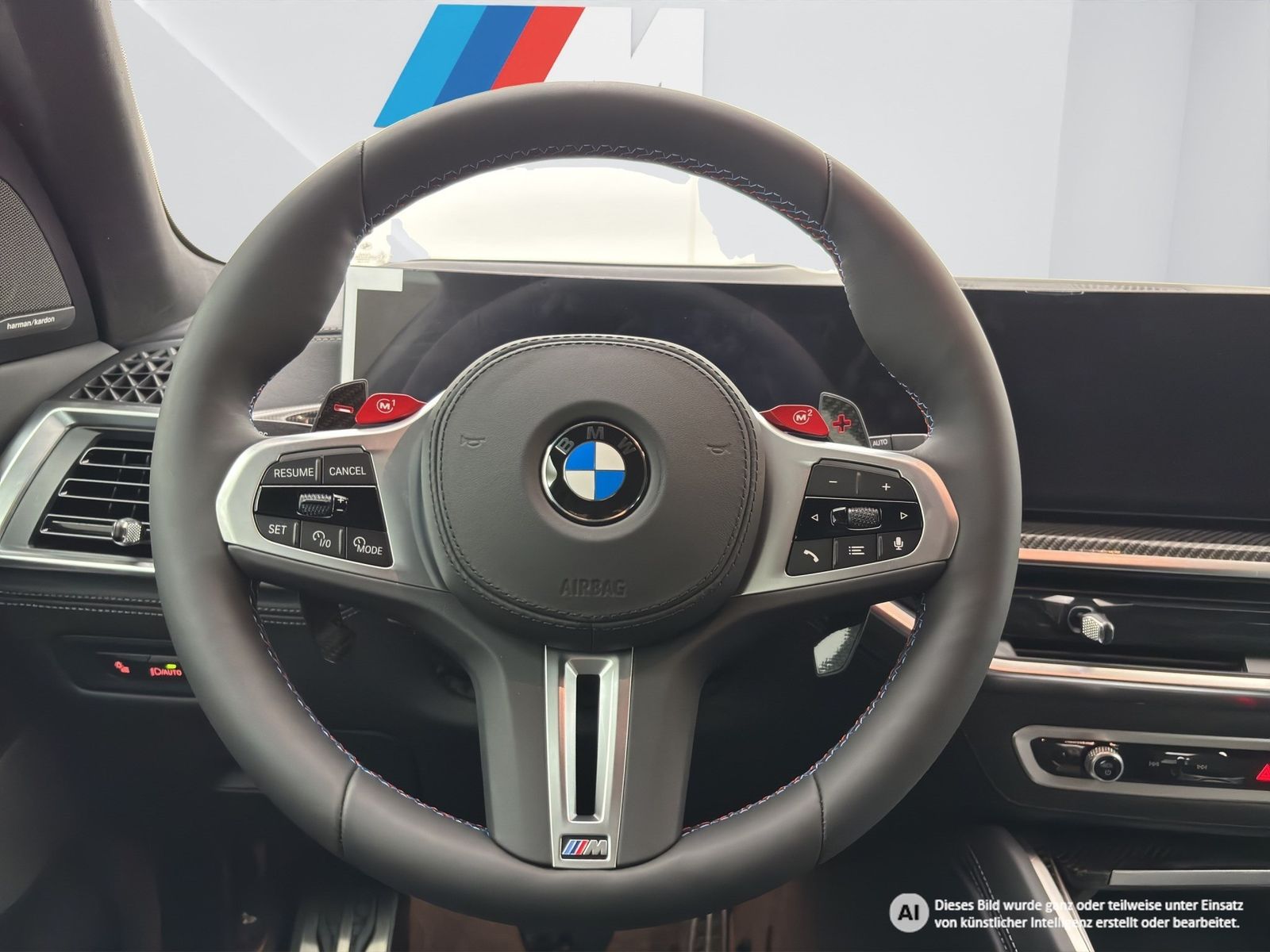 BMW X5 M - Bild 15