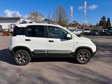 Fiat Panda Cross 4x4 Klima 6 Gang - Fiat Panda: 4.4