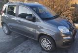 Fiat Panda 1.3 Bj.12/20