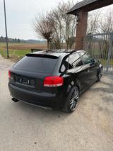 Audi S3 - 2.0l Turbo - 265PS - TOP Zustand - Audi S3: Turbo