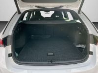 Skoda Octavia - Vorschau Bild 15