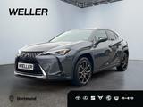 Lexus UX 250h Style Edition *Bi-LED*19Zoll*CAM*CarPlay - Lexus aus 2022