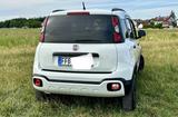 Fiat Panda 0.9 8V TwinAir CROSS 4X4 RFK, TÜV neu - Fiat Panda: Kleinwagen