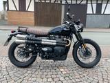 Triumph Street Scrambler 900 - TRIUMPH 900 SCRAMBLER