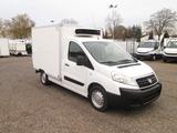 Fiat Scudo 2.0*Carrier-Tiefkühler*Euro5* - Fiat Scudo 2 0