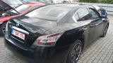 Nissan Maxima - Nissan: Max