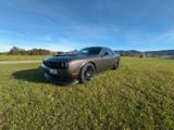 Dodge Challenger R/T S cat Pack Dt. Erstzulassung - Dodge Challenger: Limousine