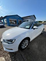 Audi A3 Cabriolet attraction ultra/Leder/Akustik-Verd - Audi A3: Attraction